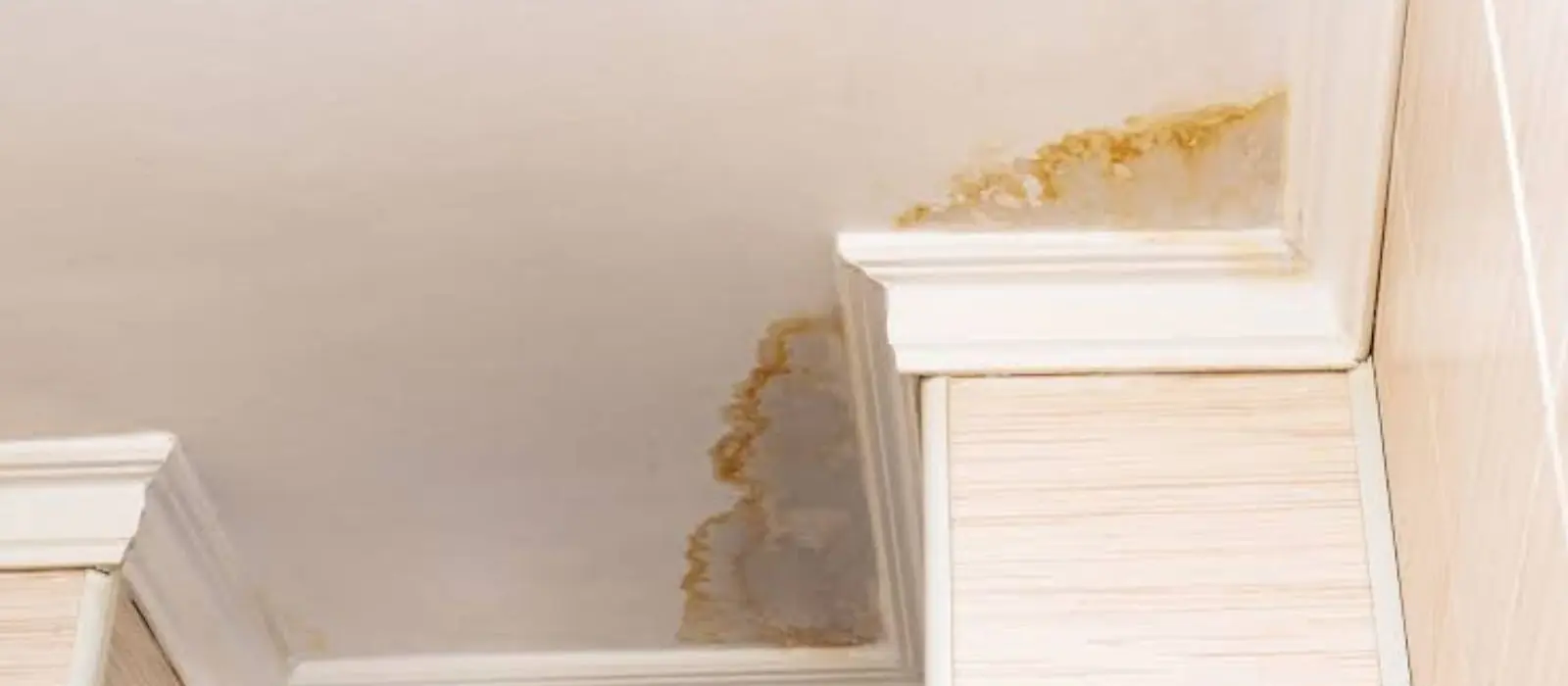 Brown water stain spreading across a ceiling corner above crown molding